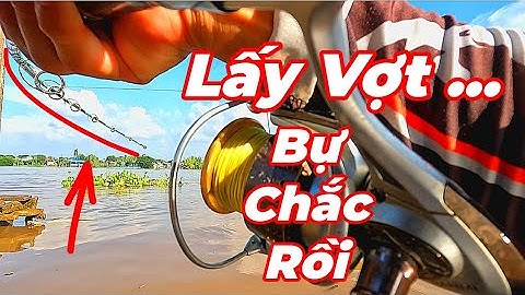 Câu Cá Vồ Đém Mùa Nước Nổi #21 || Buổi Đi Câu Thiếu May Mắn .