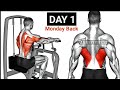 Secrets To A Powerful Back Gym Workout Revealed