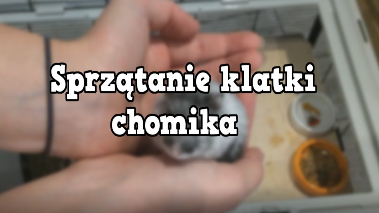 Sprzątanie klatki chomika