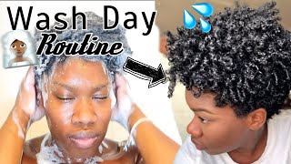 My Moisturizing Wash Day Routine | Type 4 Naturals | Tapered Cut