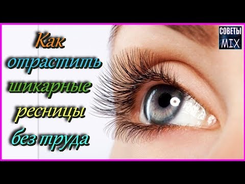 Как отрастить длинные и густые ресницы в домашних условиях. Самые эффективные рецепты