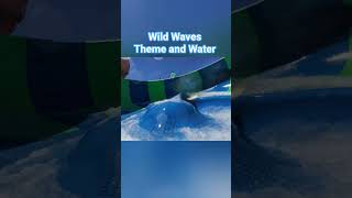 Wild Waves Theme and Water Park Summer2026 #themepark #wildwaves #waterpark #rollercoaster #seattle