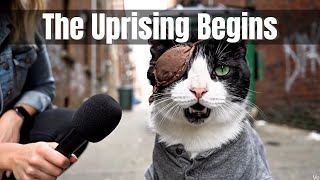 THE GREAT PRISON BREAK OF THE NYC ALLEY CATS 🐈‍⬛🔥