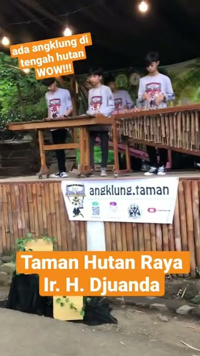 Angklung, kesenian urang sunda! #shorts #angklung #sunda #bandung #tamanhutanraya #dagopakar