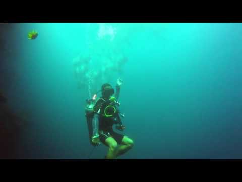 Balicasag Dive 2017