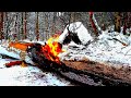 25🔥Выживание в лесу зимой без снаряжения🔥В норе🔥Утепление жилья🔥Дверь🔥Добыча и приготовление еды