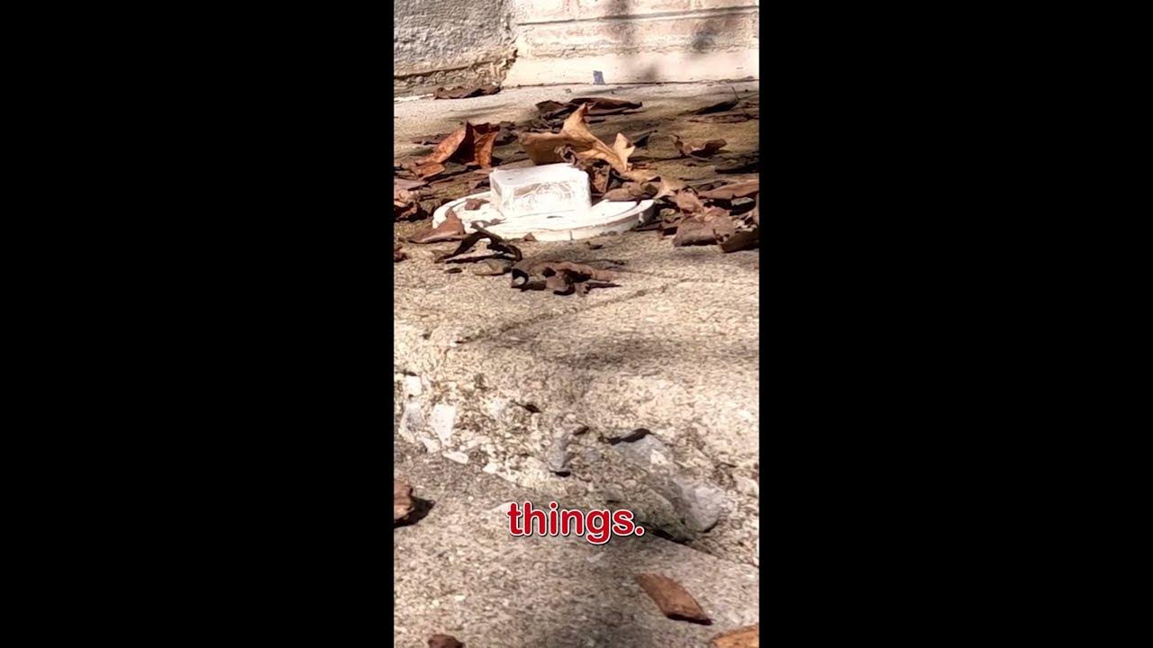 Why do concrete slabs sink? concrete concreterepair shorts patioproblems YouTube