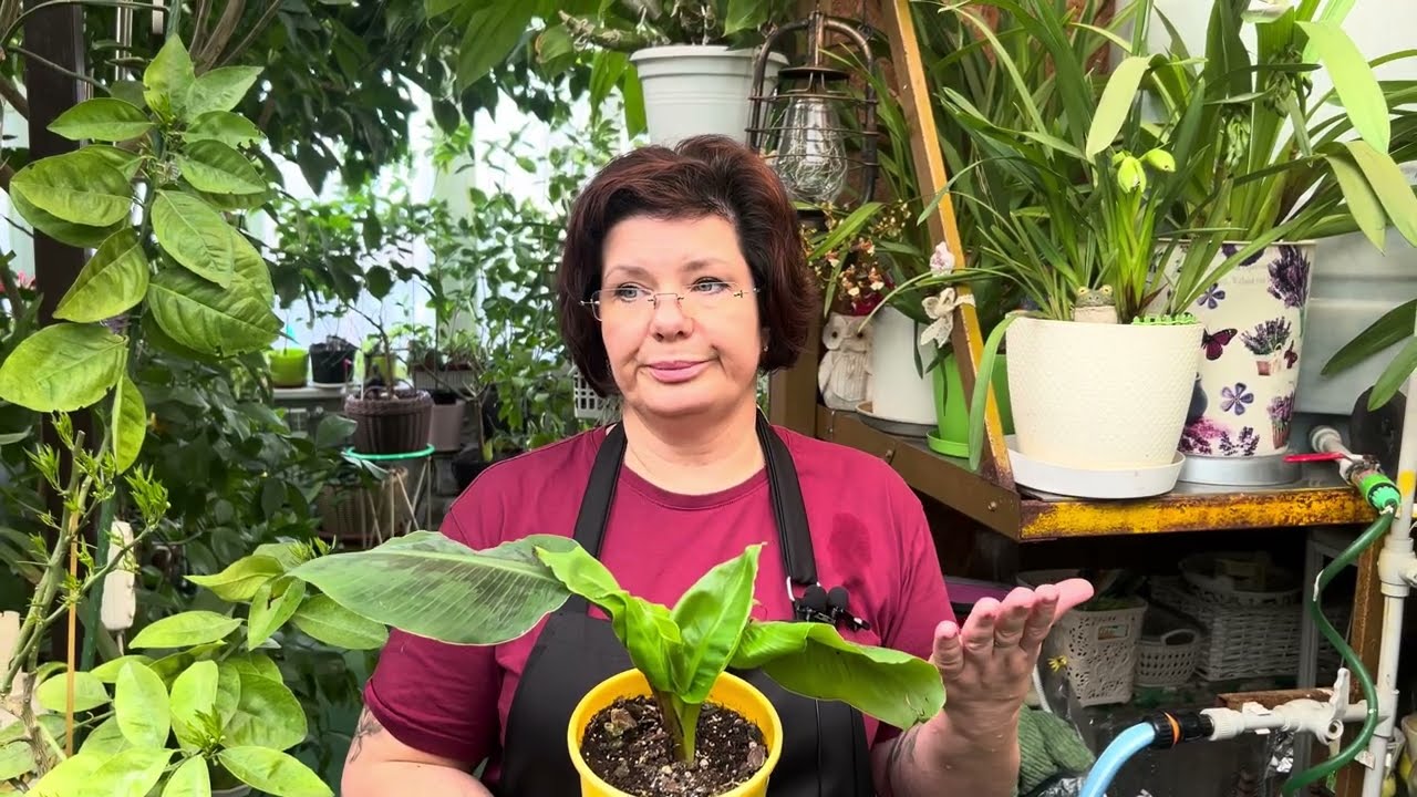 Маленькі секрети спокійного догляду. Виходимо з зими не квапливо🪴🌱🍋