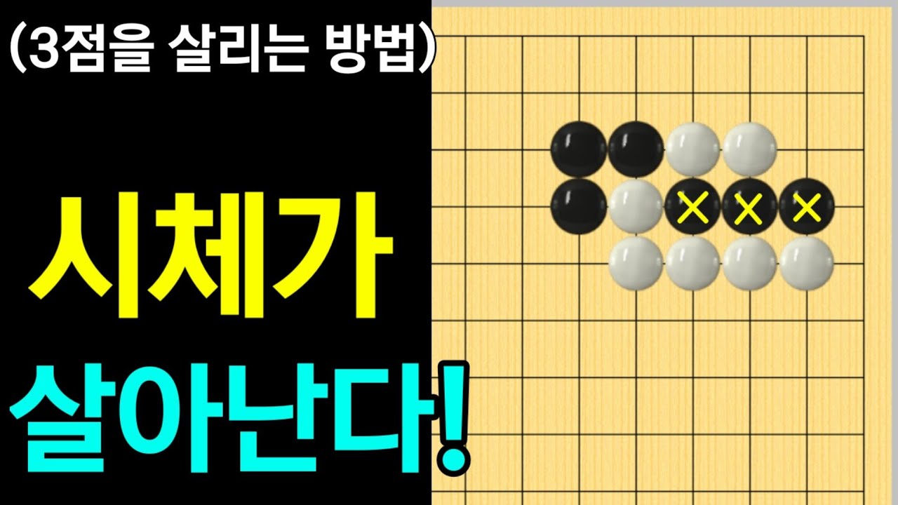 (바둑의기술 #316) 죽은 것 같지만, 살리는 수가?