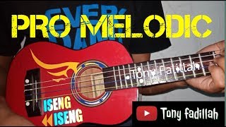 SKILL DEWA Ukulele PRO MELODIC senar 4 - KEREN ABIZzz!!!