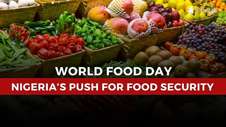World Food Day: Stakeholders Urge Stronger Action for Nigeria’s Food Security