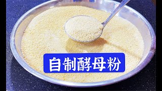 酵母粉别再买了教你在家自己做3元成本做一大碗一年都用不完DIY yeast