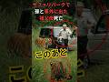 『実話』1997年サファリパークで車外に出た祖父母2名が亡くなった事件。AI完全再現しました。