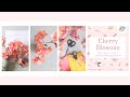 HOW TO MAKE A CHERRY BLOSSOM BRANCH with Pink and Posey