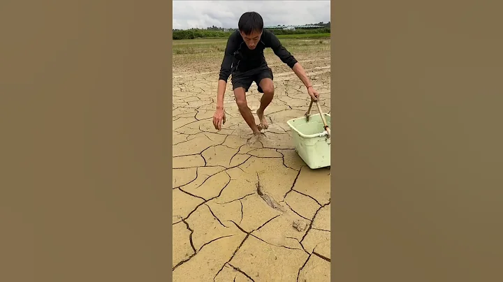 Papa caught a snake 😱  #Catsoftiktok#CatLovers #cat #cute #FunnyCats#catcartoon#fyp#shorts