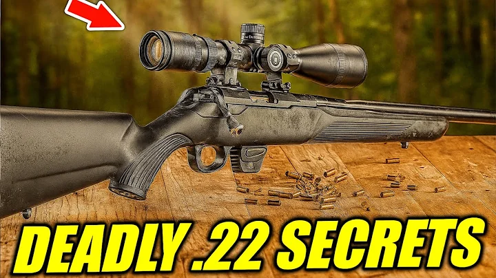 22 LR Rifles... The Surprising TRUTHS NO ONE Tells You!