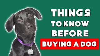Are you ready for a dog? Things to consider before making the commitment. by catdog 18 views 1 year ago 4 minutes, 57 seconds