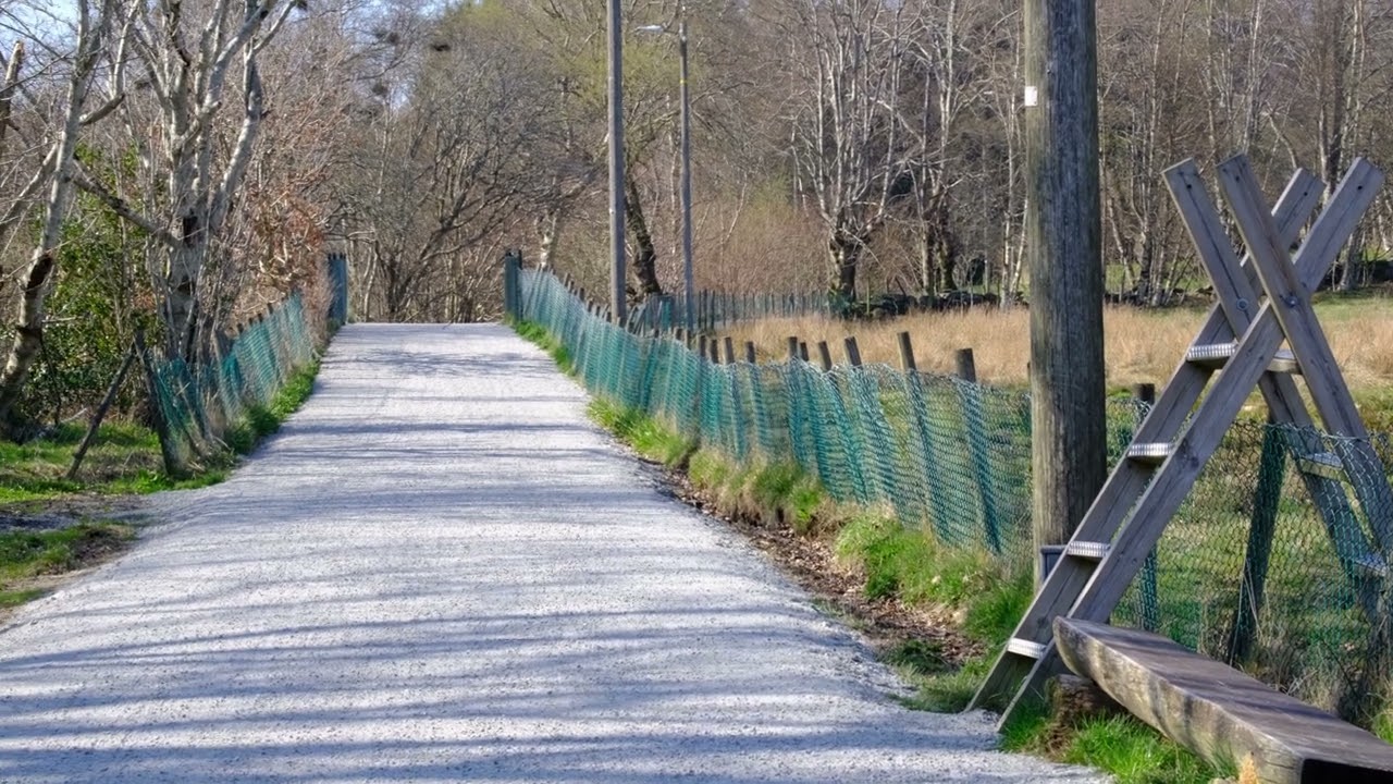 023 Eco friendly pet fence in Norway
