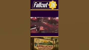 Fly Swatter #shorts  #fallout76  #gaming  #bethesda