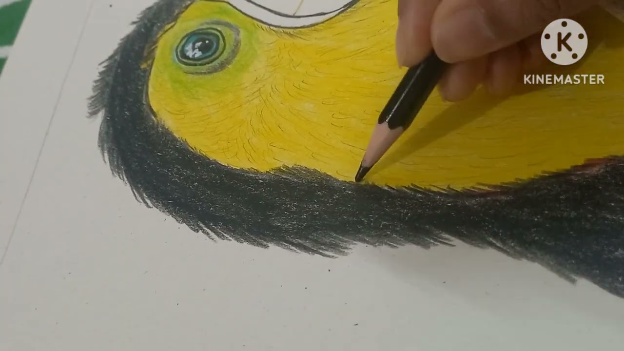Colour 🦜#artistsunatra #art #drawing #easyartlover #watercolor #watercolorpainting #painting #wocol