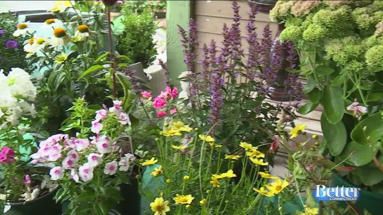 What to Plant This Fall YouTube