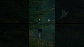 Hunting Simulator 2