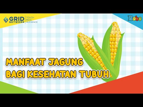 Fakta Menarik - Ini Dia Beberapa Manfaat Jagung Bagi Kesehatan Tubuh