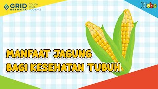 Diet Vlog Challange 1 hari 1 kg | diet JAGUNG REBUS part#4 seminggu turun 7 kg | Challenge diet 7 kg