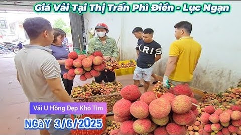CẬP NHẬT CHỢ VẢI THIỀU LỤC NGẠN ĐẦU MÙA I NÚI ĐỒI LỤC NGẠN