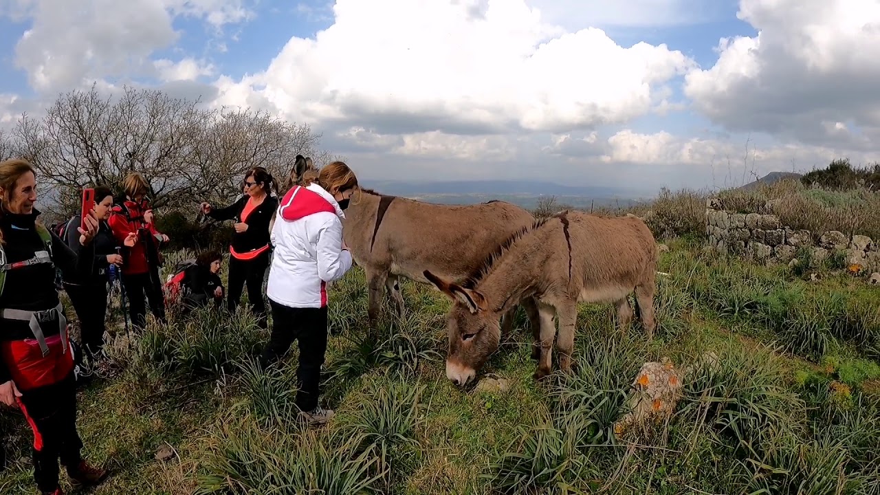 STG - TREKKING AL MONTE PELAO