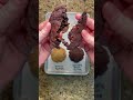 turn any cookie into a chocolate cookie