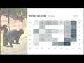 Leaving your Dataviz Comfort Zone