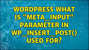 Wordpress: What is "meta_input" parameter in wp_insert_post() used for? (2 Solutions!!)