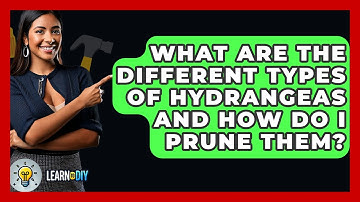 What Are The Different Types Of Hydrangeas And How Do I Prune Them? - LearnToDIY360.com