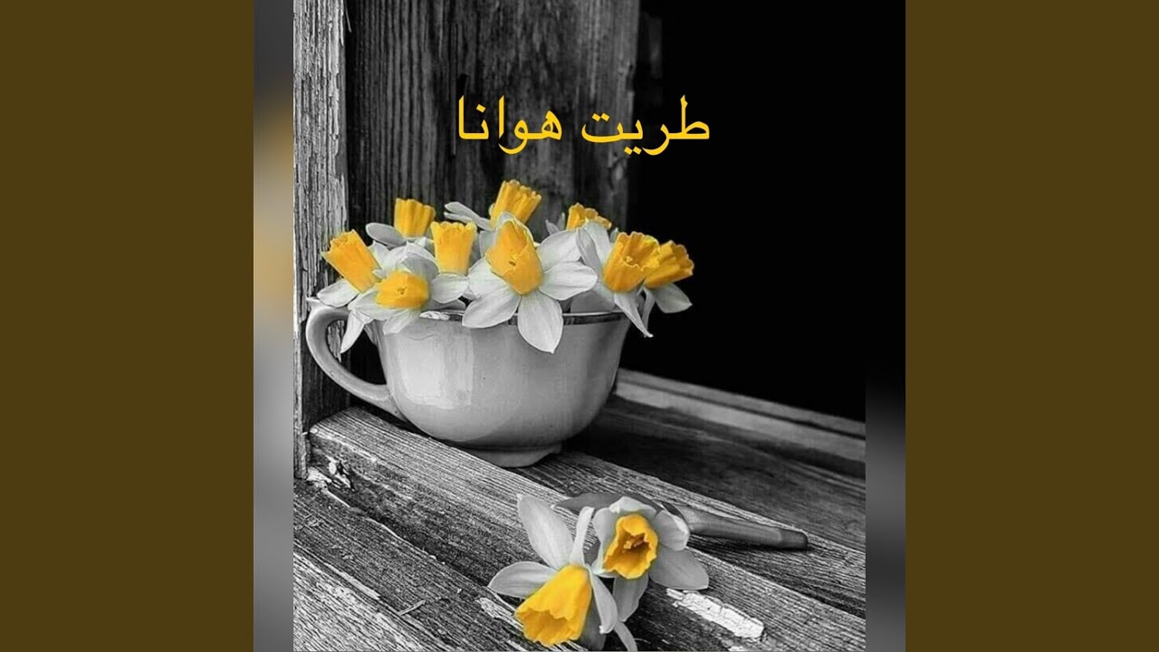 ادونا ادونا يا الجننتونا الخير عثمان