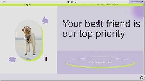 5 Fastest WordPress Themes in 2024 (Compared & Reviewed)