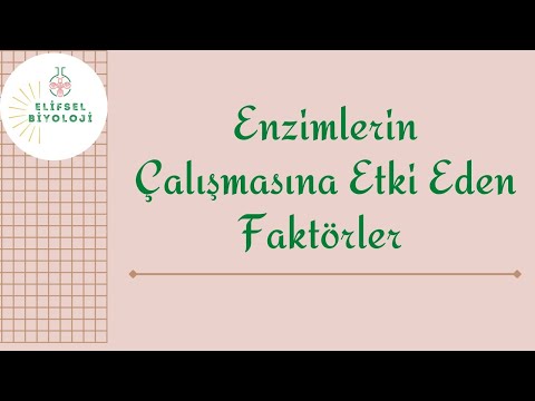 Video: Bir enzim molekülünün şeklini ne etkileyebilir?