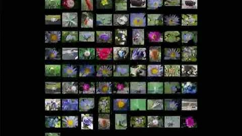 PyZUI 0.1: Python Zooming User Interface