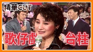 【精華CUT】歌仔戲台柱大集合！楊麗花.孫翠鳳.許秀年同台菲哥小哥歡樂滿懷｜龍兄虎弟