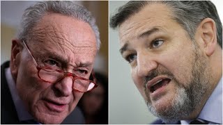 Senate Erupts in Chaos as Schumer and Cruz Clash in Explosive Showdown Over Mayorkas Impeachment!