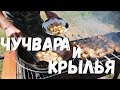 ФУТБОЛЬНЫЕ ЗАКУСКИ НА ГРИЛЕ: КРЫЛЬЯ ПОБЕДЫ И ПЕЛЬМЕНИ ВПЕРЕД К ПОБЕДЕ