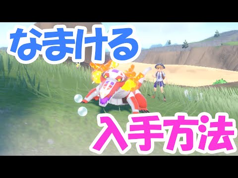 【ポケモンSV】硬すぎ！なまけるラウドボーンの入手方法を解説！【遺伝経路】