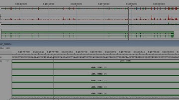 DNASTAR - Variant Analysis Workflow