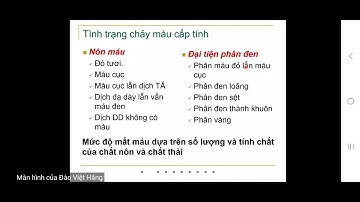Bài giảng nội khoa: Xuất huyết tiêu hóa, loét dạ dày