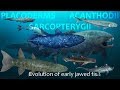 Evolution of Placoderms, Acanthods and Sarcopterygii