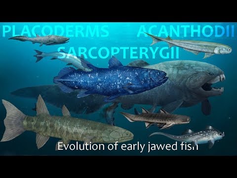 Video: Acanthodes: En Alternativ Civilisation Af Jorden - Alternativ Visning