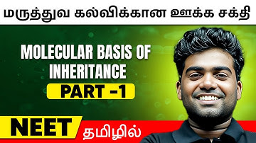 Molecular Basis of Inheritance Part 1 | BOTANY in Tamil | Class12/ NEET