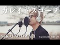 【フル歌詞】カレイドスコープ SEKAI NO OWARI Covered by 佐伯大介