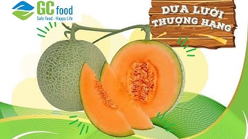 Dưa Lưới Thượng Hạng- Chất lượng cao | GCFood | Safe Food-Happy Life