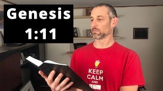 Let The Earth Sprout Vegetation - Genesis 1:11 | One Verse Homily
